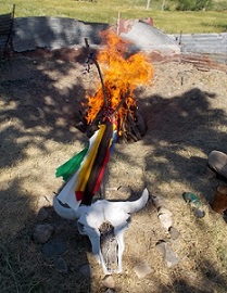 Indian7