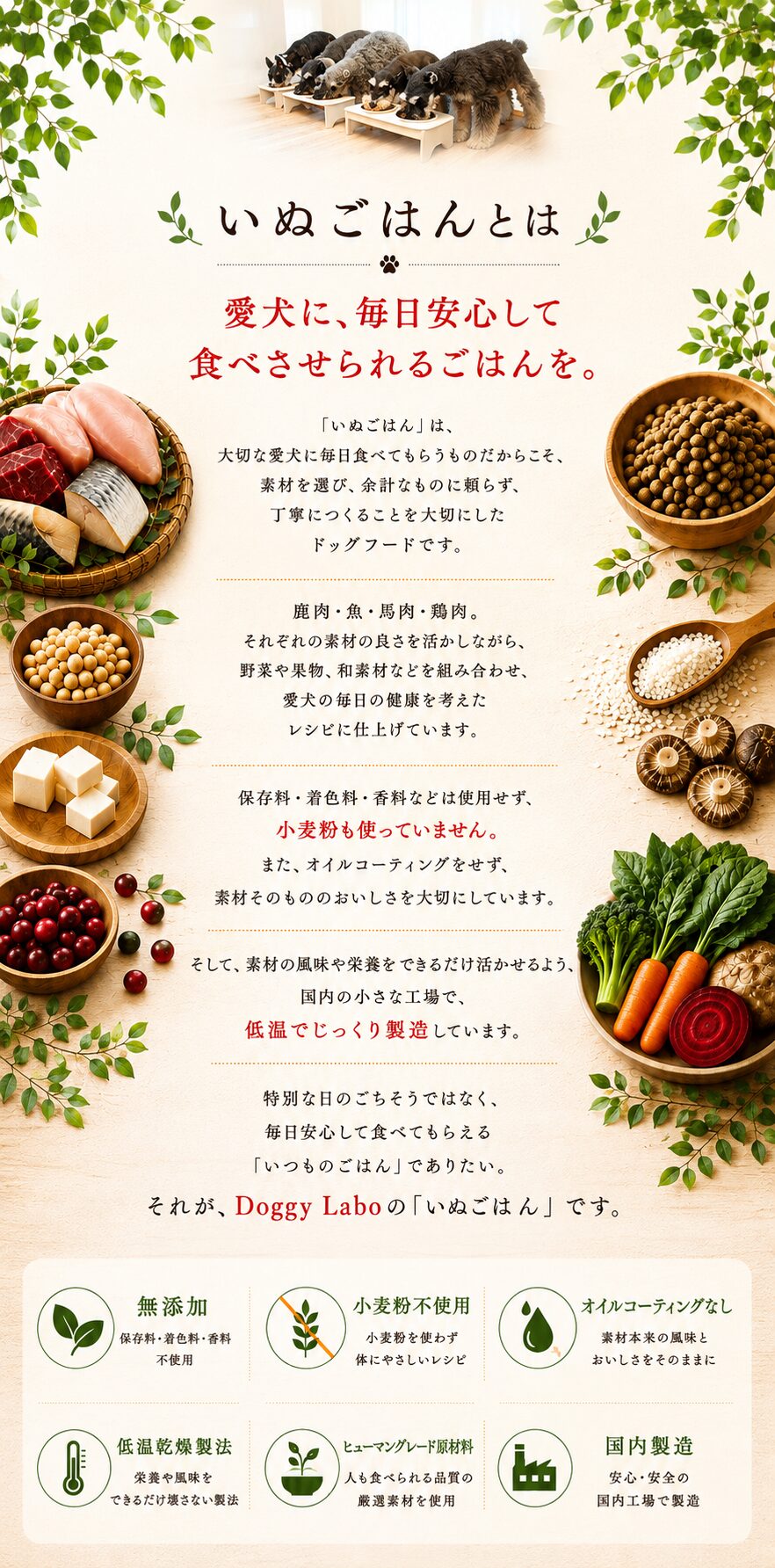 いぬごはんとは