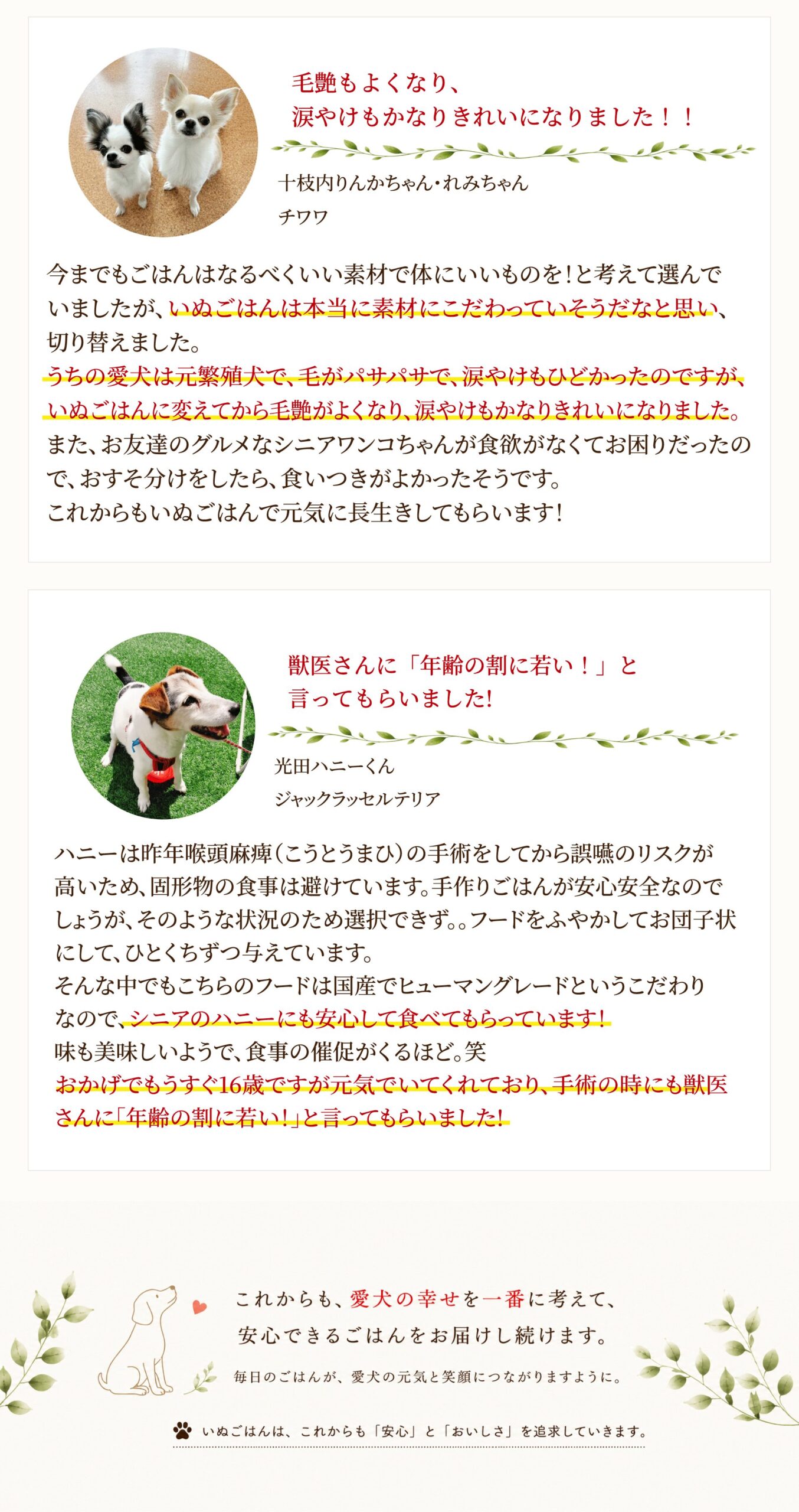 お客様の声2