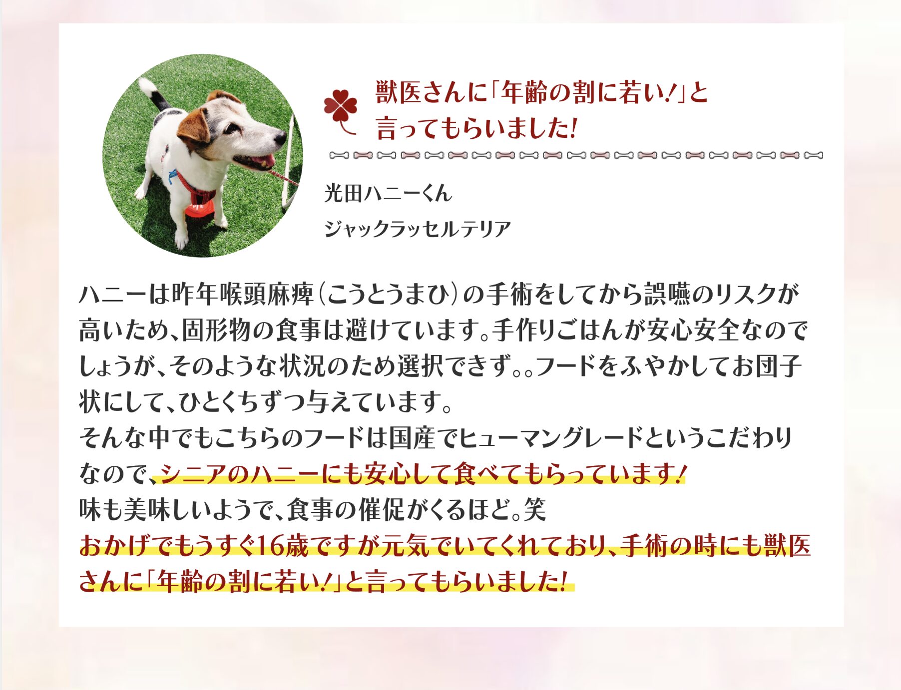 お客様の声
