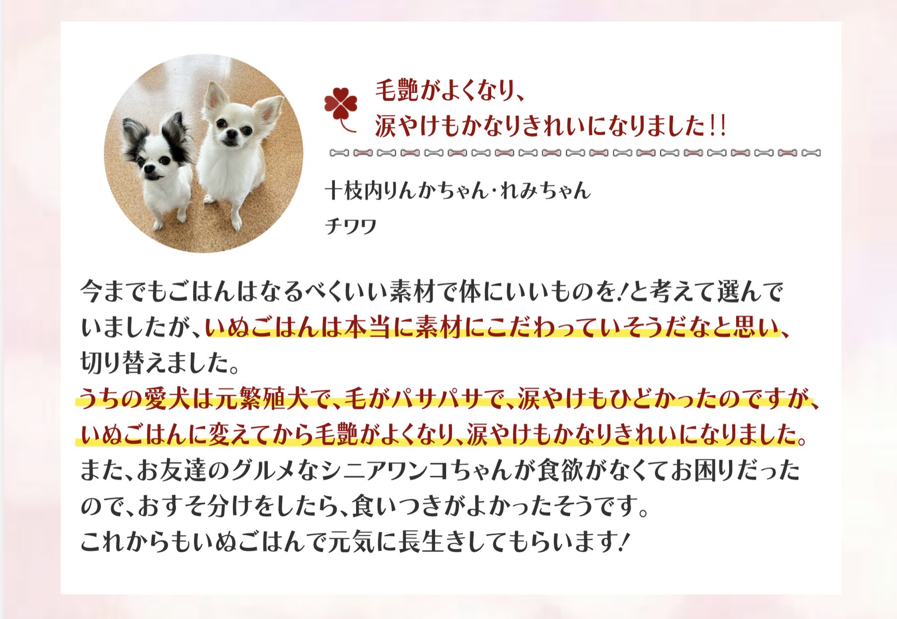 お客様の声