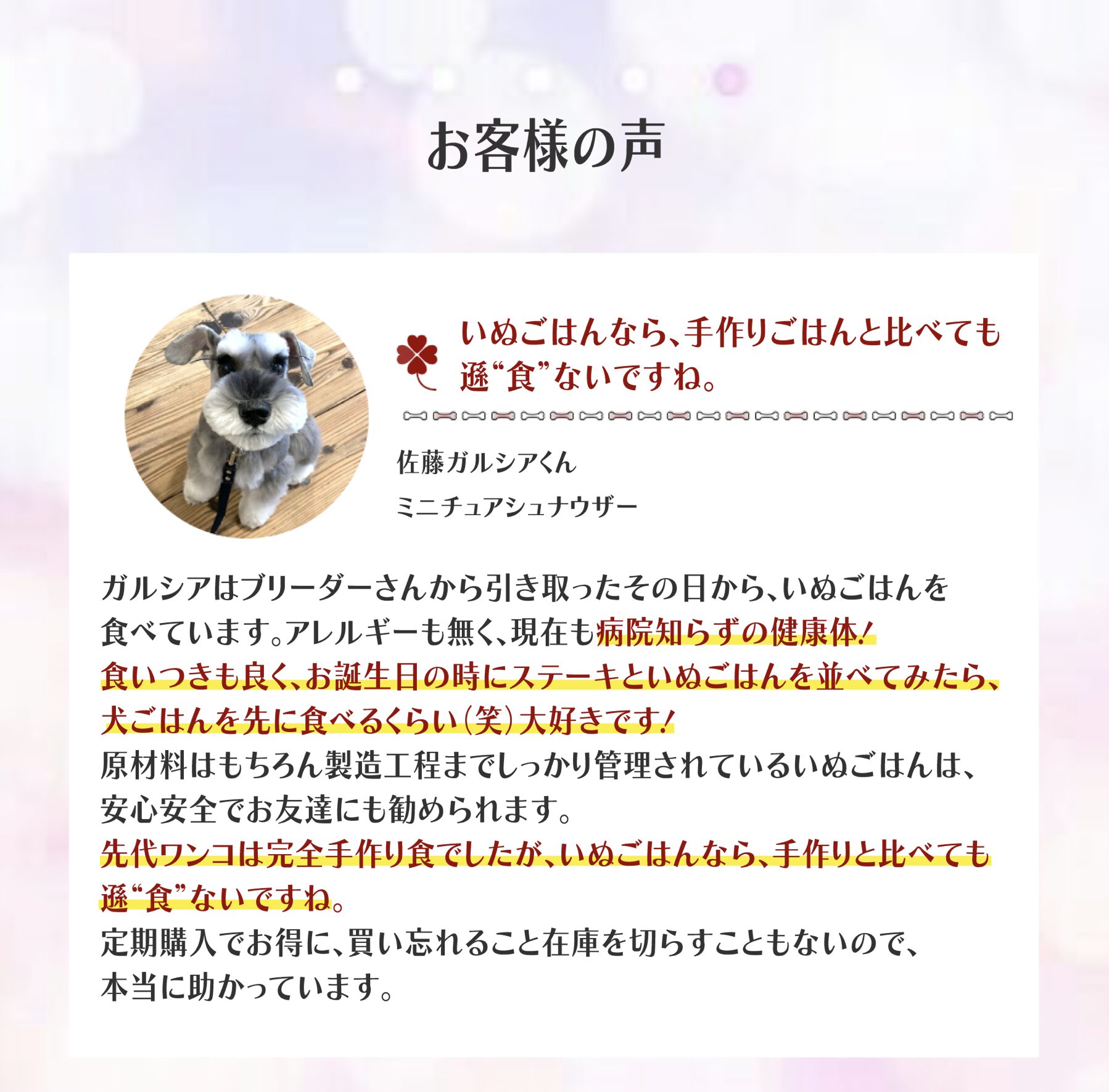 お客様の声