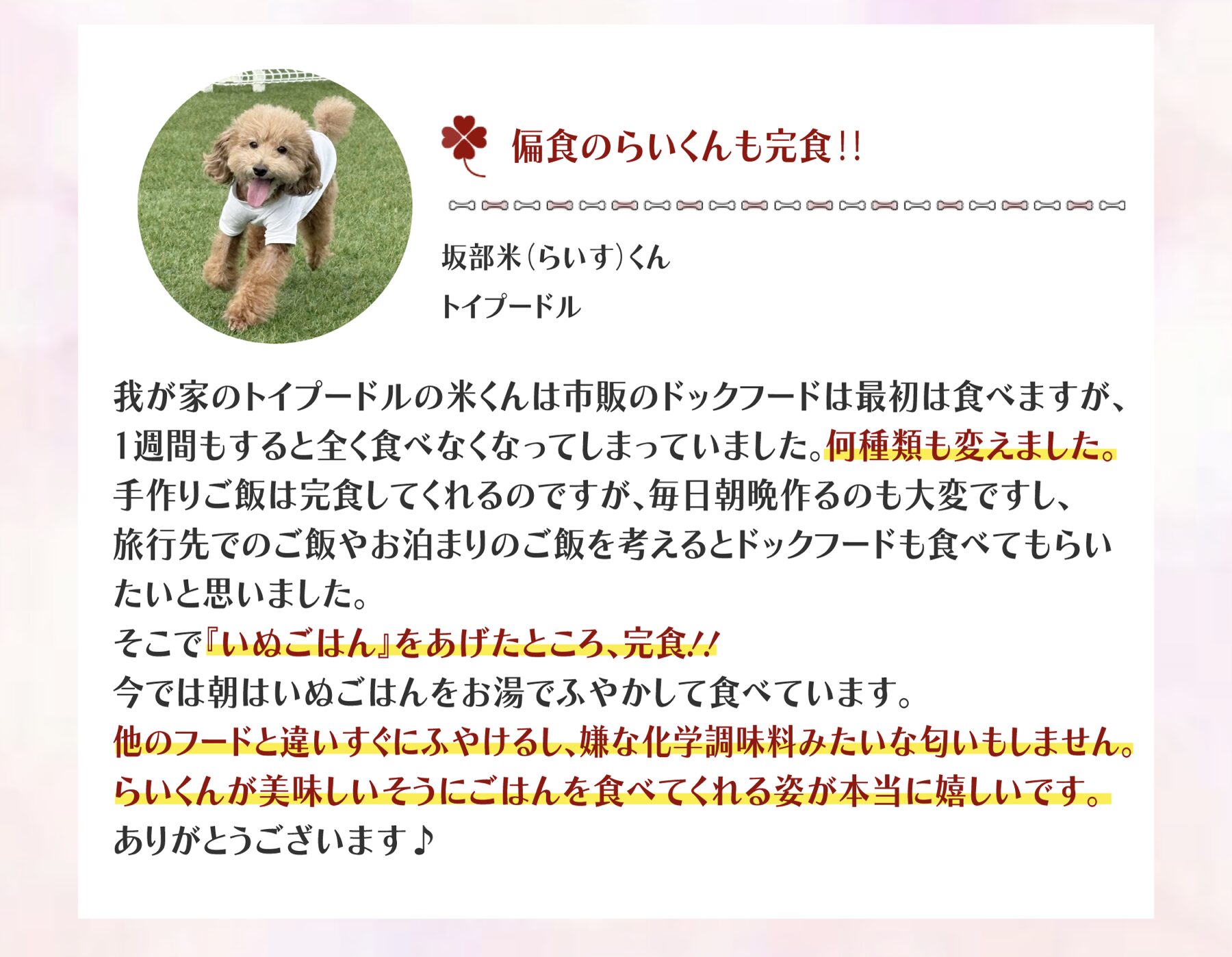 お客様の声