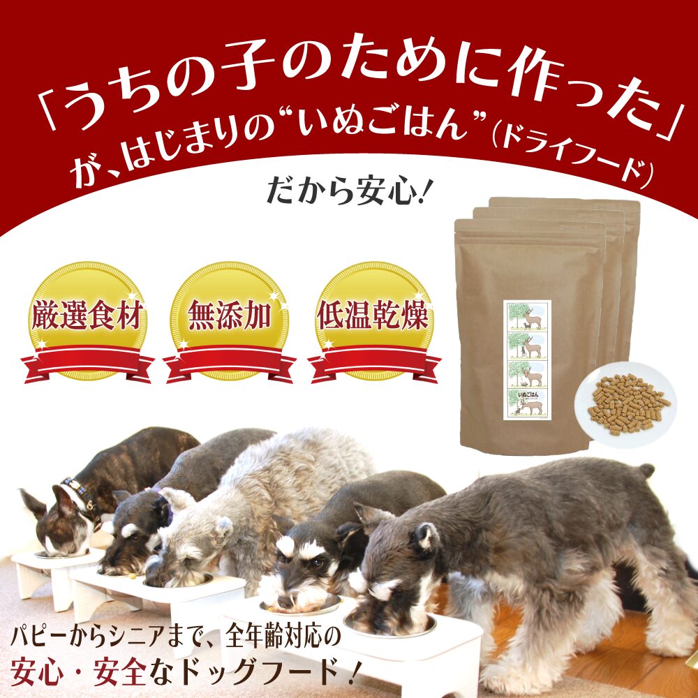 タイトル